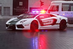 Появились данные первых допросов причастных к расправе над другом Дурова и его женой в ОАЭ