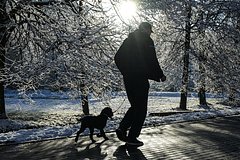 Москвичам рассказали о погодном новогоднем чуде